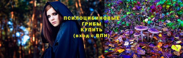 МДПВ Аркадак
