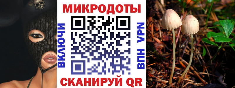 Псилоцибиновые грибы мицелий  Теберда 
